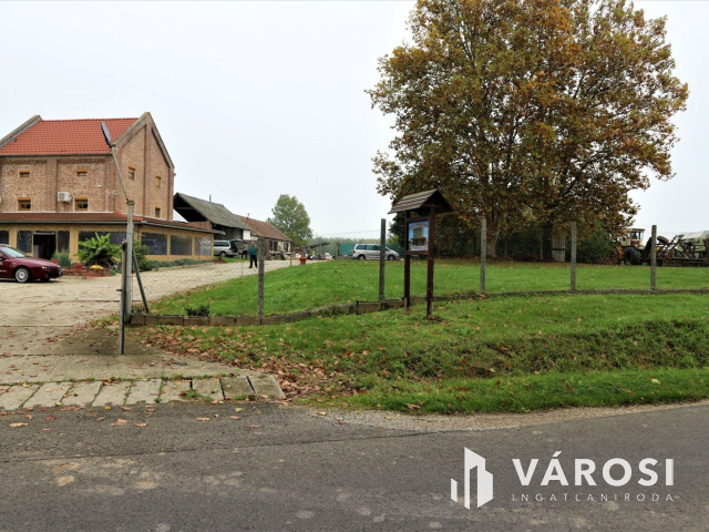 Komlósdon ház+gazdasági épület+14400m2 szántó jó gazdára vár