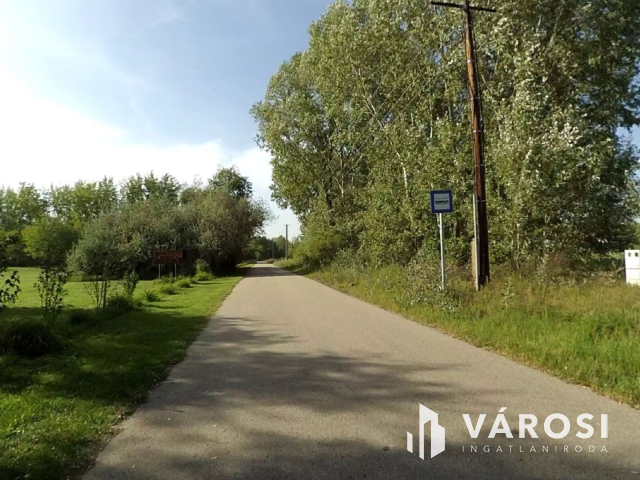 15 hektáros birtok Szegedhez közel