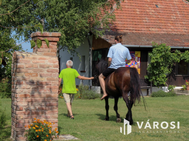 15 hektáros birtok Szegedhez közel