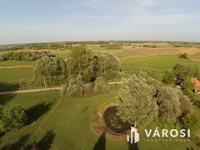 15 hektáros birtok Szegedhez közel