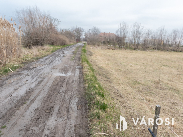Eladó Szántó Csanyteleken