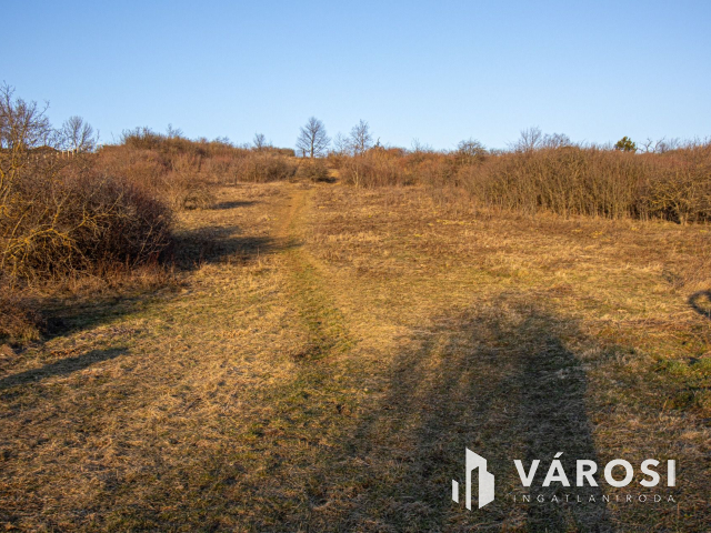 Budakalászon 2960 m2-es telek eladó!