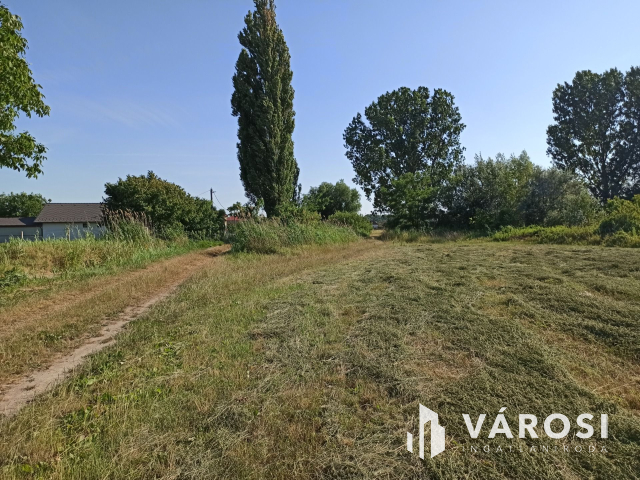 Turán 6060nm-es külterületi telek