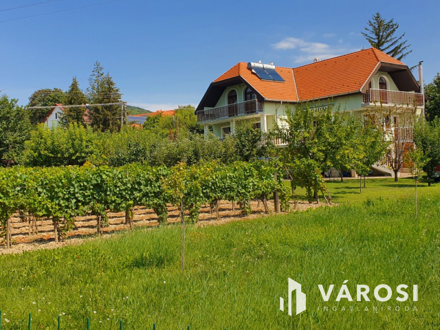 Csopakon, patakparti nívós ingatlan eladó!