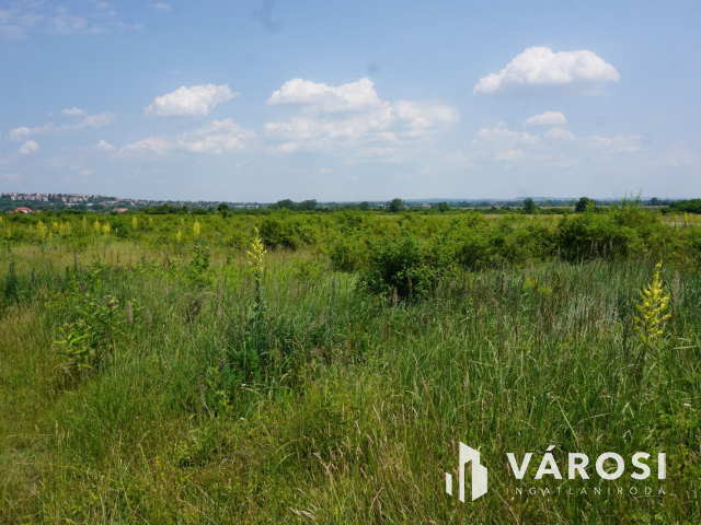 Új parcellázású, 2000nm-es telek Pomázon!