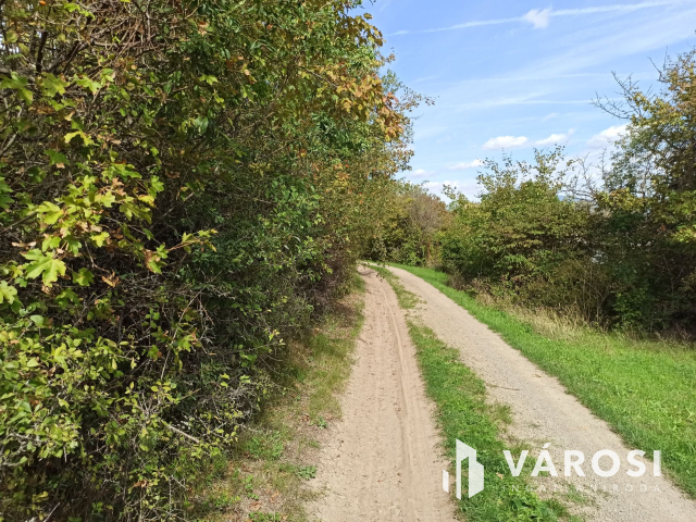 Nyaralónak tökéletes választás Dunabogdányban!