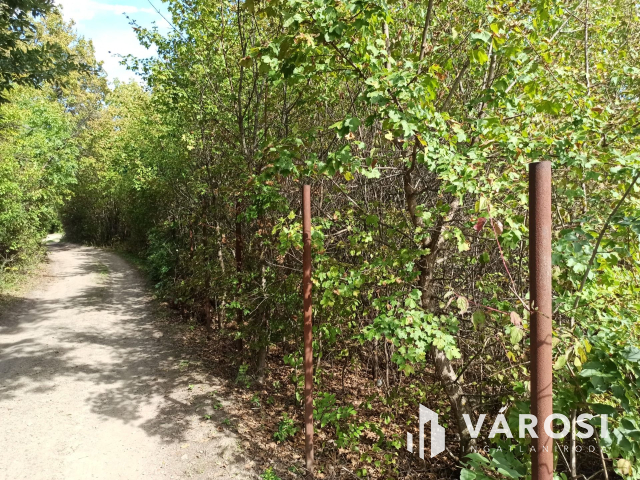 Nyaralónak tökéletes választás Dunabogdányban!