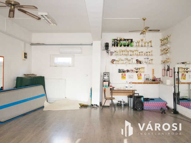 Korszerű ipari ingatlan napelemmel, városközpontban!