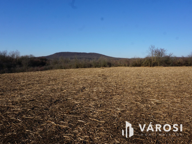 A lehetőségek telke Budakeszin ár alatt!