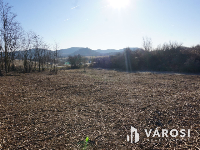 A közeli jövő befektetése Budakeszin?