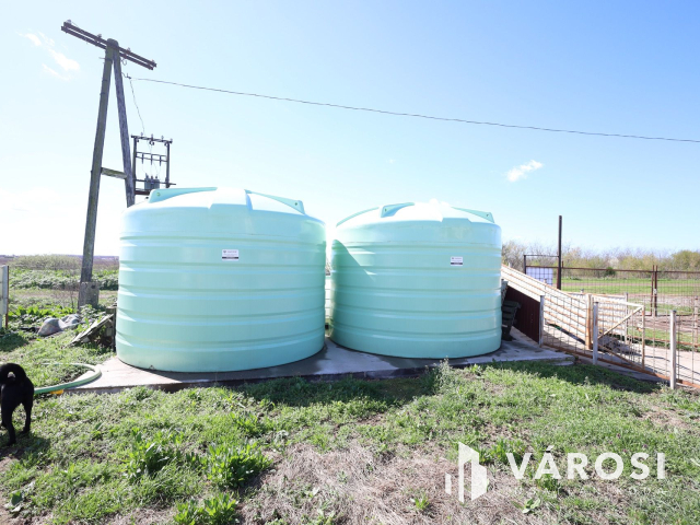 Eladó sertéstelep Szeghalom határában 11 ha területen