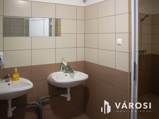 Kiváló csarnok aszfaltozott út mellett kiadó