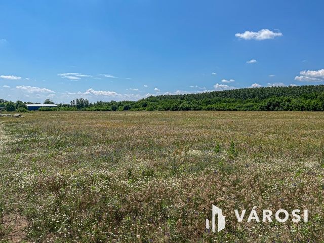 3 hektáros ipari terület Debrecenben!