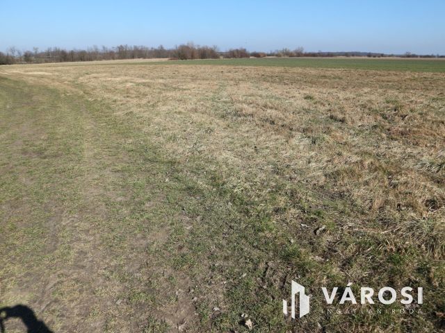 Szentgotthárd-Keddhely,volt laktanya,2Ha beépíthető telek