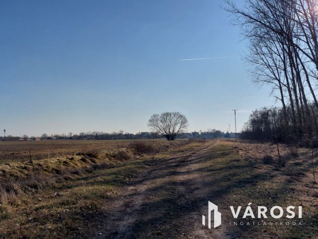 16 hektáros, sokoldalúan hasznosítható terület eladó