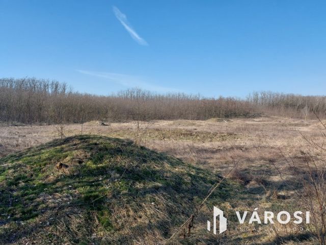 16 hektáros, sokoldalúan hasznosítható terület eladó
