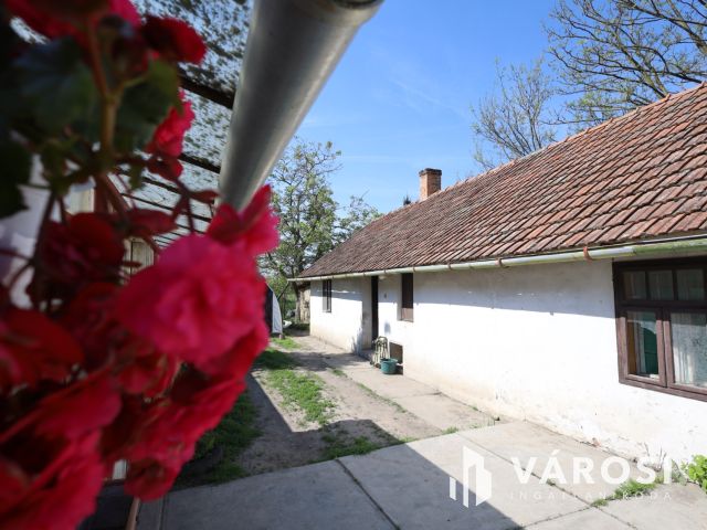 Tanya gazdálkodásra alkalmas területtel