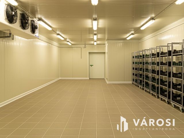 Kiváló befektetési lehetőség Körösújfaluban.