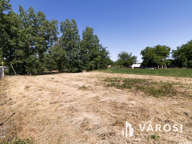 Gyula, Ajtósfalván eladó nagy telek