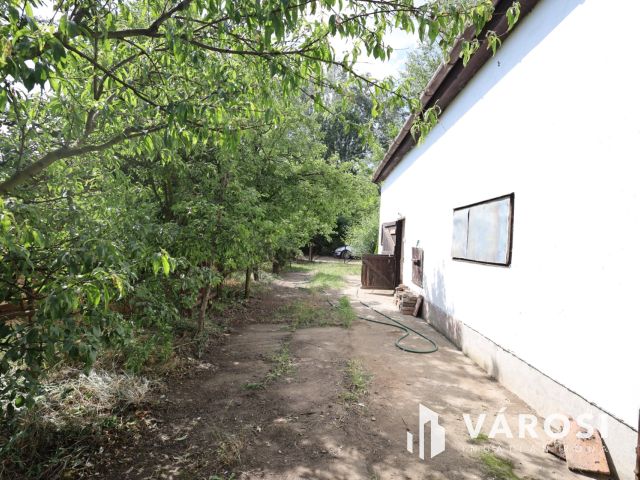 Eladó tanya Gyulán a Kálvárián