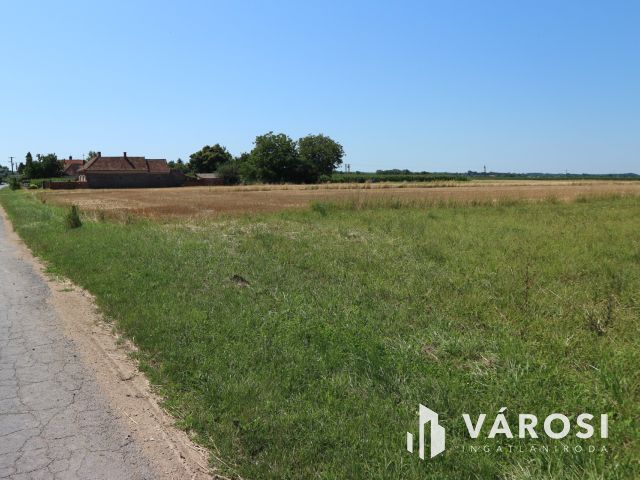 Egyházashollós ,belterületi üres telkek eladók 3x2100m2
