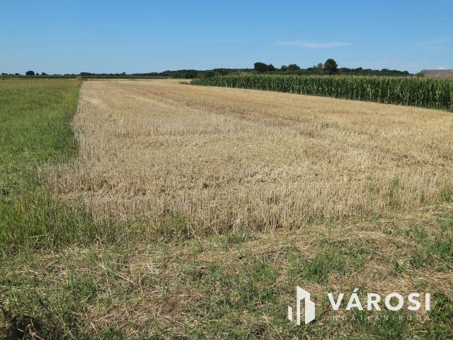 Egyházashollós ,belterületi üres telkek eladók 3x2100m2