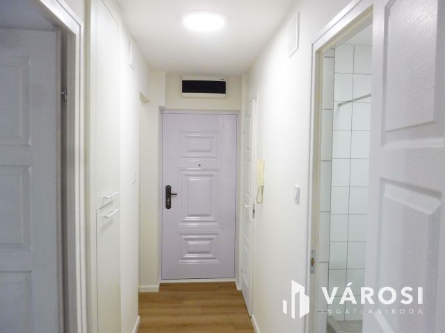 Igényes kis lakás üzleti tevékenységre kiadó.