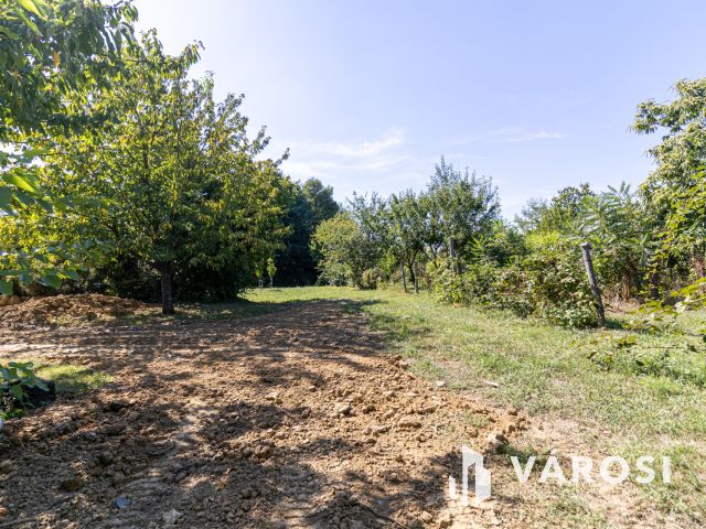 108 m2-es családi ház 1 hektáros területtel Becsehelyen!