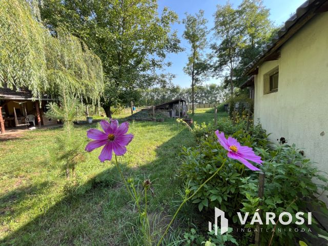 Debreceni 7,5 hektáros tanyagazdaság, csodás környezetben!!!