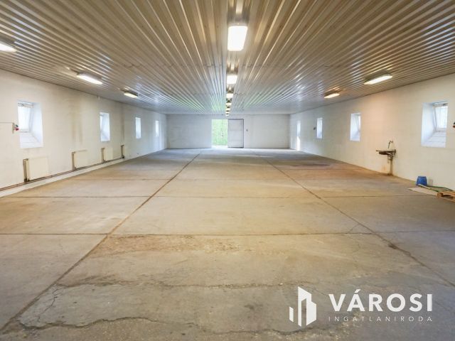 Élelmiszer feldolgozó ár alatt eladó!