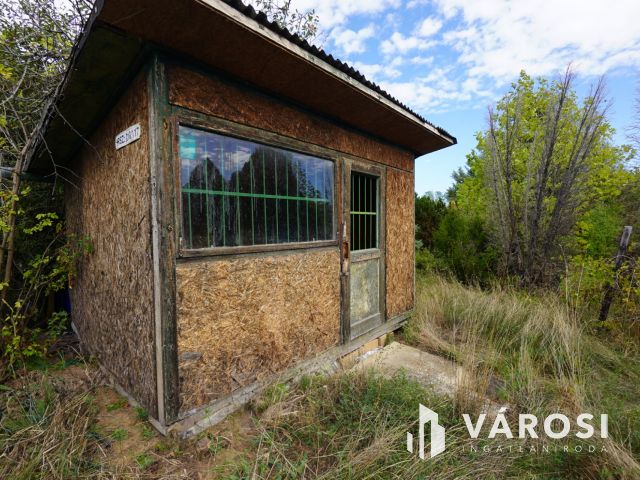 Hatalmas telek eladó Ecseren!