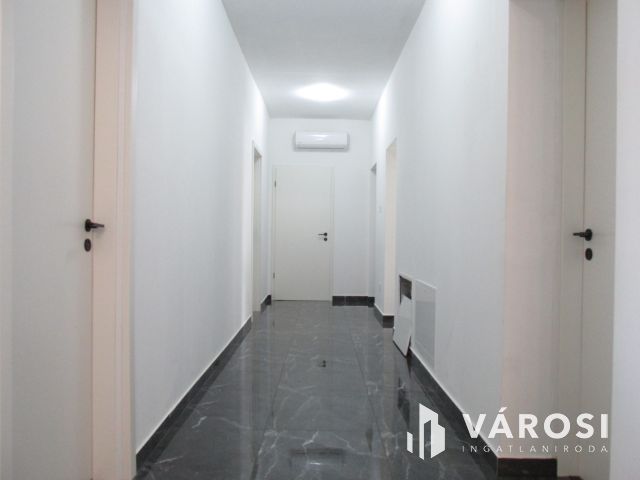 Új építésű nagy családi ház tágas telekkel