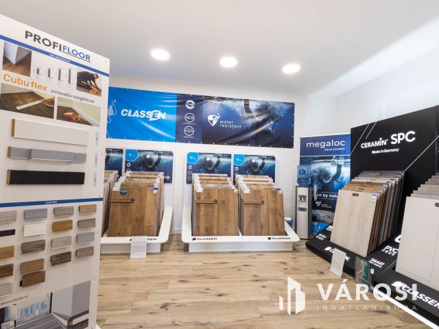 Kettő az egyben - családi ház és üzlet is