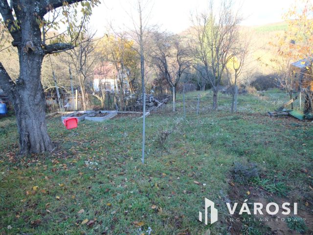 Rönkházzal együtt eladó üdülőtelek