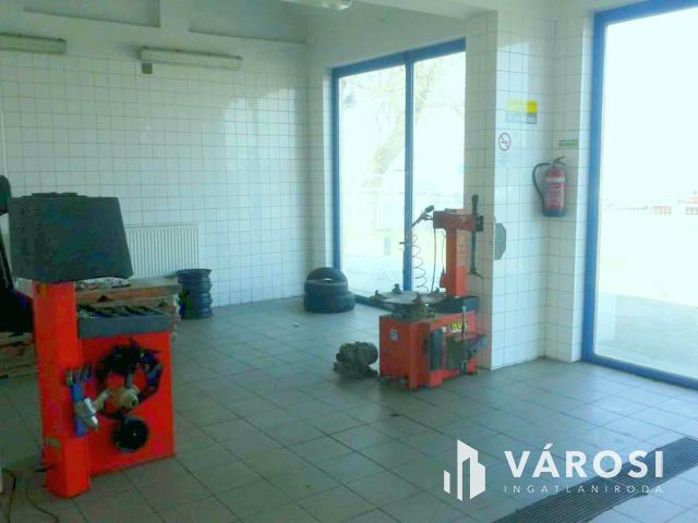 Többcélú telephely kiadó a Déli Ipari Park szomszédságában