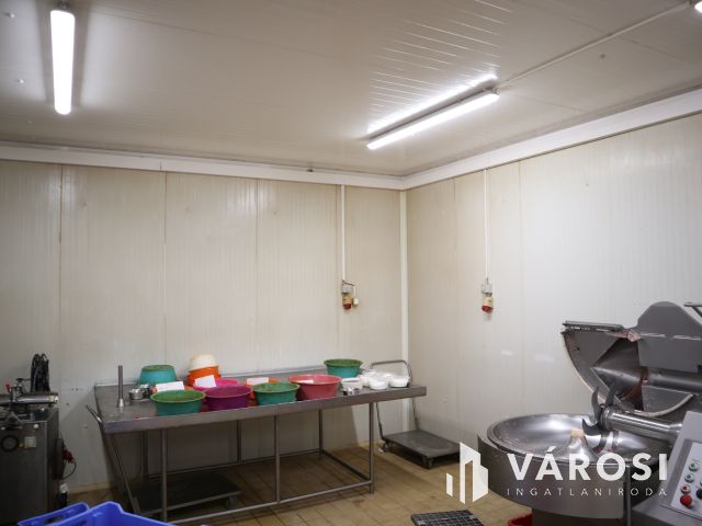 Működő húsfeldolgozó üzem, bővítési lehetőséggel!