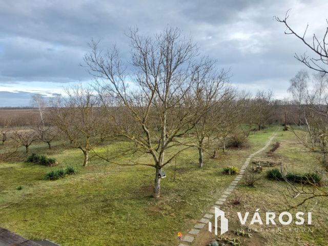 Családi ház, birtok, műhely, cégvásárlási opcióval eladó