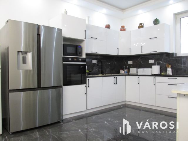 Új építésű nagy családi ház tágas telekkel