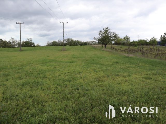 Panorámás zárt kert Kőröshegyen eladó