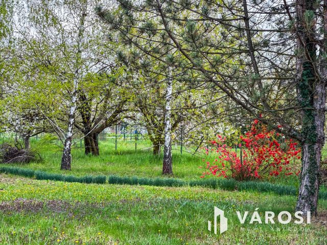 Két telek, egy nyaraló és sok-sok gyümölcsfa Szanazugban