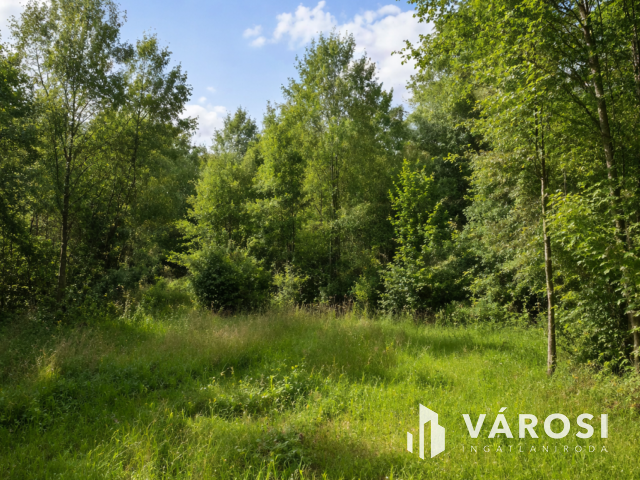 Csücsök eladó Debrecen-Bánk felé eső részen